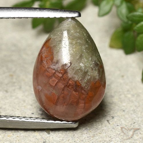 4.83 ct Pear Coral, 14.2 x 10.2 mm From Indonesia, Photo A