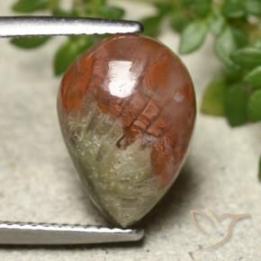 Coral Gemstone in 14 x 10 mm (calibrated) Size for Sale, Coral Stone in Multicolor Color