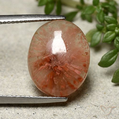 7.91ct Natural Multicolor Coral, Oval, Translucent