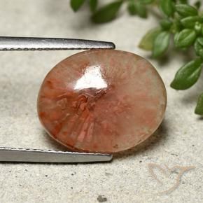 7.91 ct Multicolor Coral Stone, Natural Coral in Oval Cabochon Shape for Sale