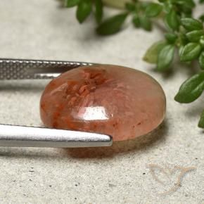 Coral Gemstone in 16 x 12.8 mm Size for Sale, Coral Stone in Multicolor Color