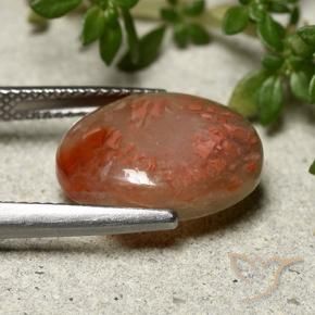 Coral Gemstone in 15.1 x 11.9 mm Size for Sale, Coral Stone in Multicolor Color