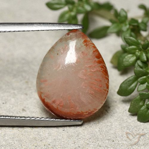 7.31ct Natural Multicolor Coral, Pear Shape, Translucent