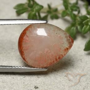 7.31 ct Multicolor Coral Stone, Natural Coral in Pear Cabochon Shape for Sale