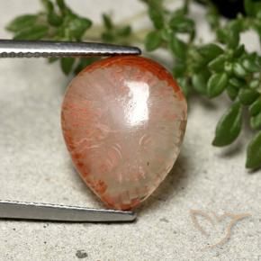 Coral Gemstone in 16.6 x 13.3 mm Size for Sale, Coral Stone in Multicolor Color