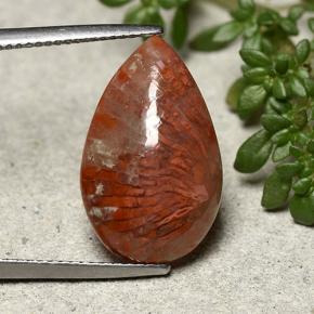 8.19 ct Multicolor Coral Gemstone, Coral Gem in Pear Cabochon Shape for Sale.