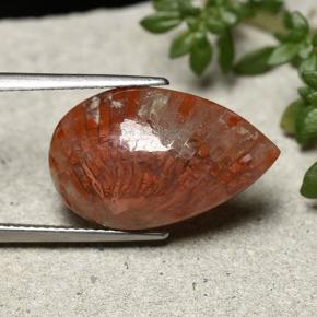 8.19 ct Multicolor Coral Stone, Natural Coral in Pear Cabochon Shape for Sale