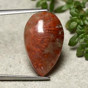 Coral Gemstone in 19.9 x 12.5 mm Size for Sale, Coral Stone in Multicolor Color