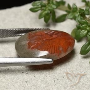 Coral Gemstone in 19 x 14.7 mm Size for Sale, Coral Stone in Multicolor Color