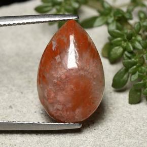 7.73 ct Multicolor Coral Gemstone, Coral Gem in Pear Cabochon Shape for Sale.