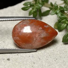 7.73 ct Multicolor Coral Stone, Natural Coral in Pear Cabochon Shape for Sale