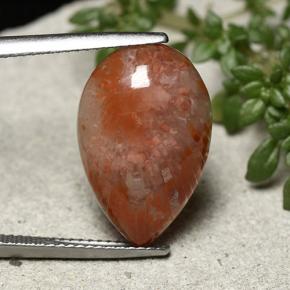 Coral Gemstone in 18.9 x 12.4 mm Size for Sale, Coral Stone in Multicolor Color