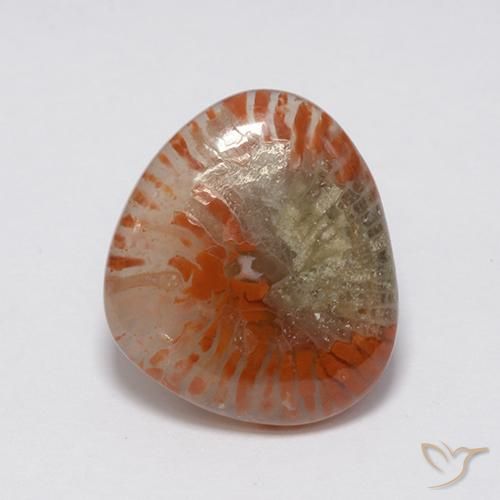 7.59ct Natural Multicolor Coral, Fancy, Translucent, Photo A