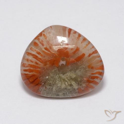7.59 ct Multicolor Coral Stone, Natural Coral in Fancy Cabochon Shape for Sale