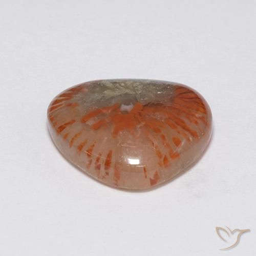 Coral Gemstone in 15.6 x 13.5 mm Size for Sale, Coral Stone in Multicolor Color