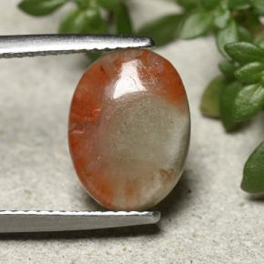2.5ct Oval Cabochon Multicolor Coral Gem for sale 2.5ct Oval Cabochon Multicolor Coral Gem (ID: 492382)