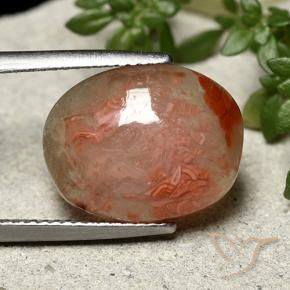 6.86 ct Multicolor Coral Stone, Natural Coral in Oval Cabochon Shape for Sale