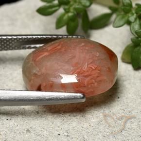 Coral Gemstone in 15.3 x 12.1 mm Size for Sale, Coral Stone in Multicolor Color