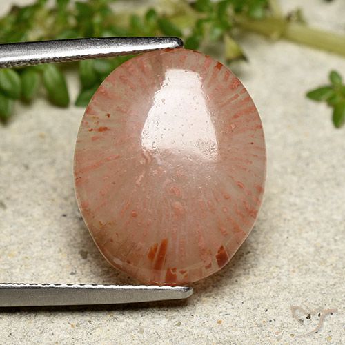 7.55ct Natural Multicolor Coral, Oval, Translucent