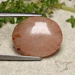 7.55 ct Multicolor Coral Stone, Natural Coral in Oval Cabochon Shape for Sale