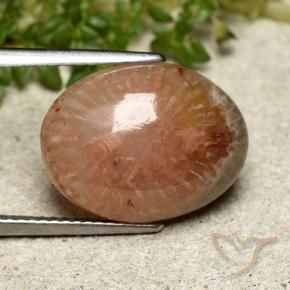 7.64 ct Multicolor Coral Stone, Natural Coral in Oval Cabochon Shape for Sale