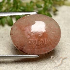 6.97 ct Multicolor Coral Stone, Natural Coral in Oval Cabochon Shape for Sale