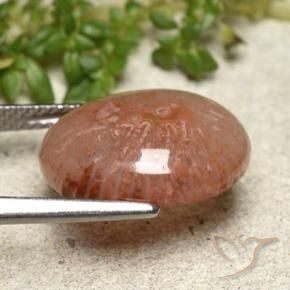 Coral Gemstone in 15 x 12 mm Size for Sale, Coral Stone in Multicolor Color