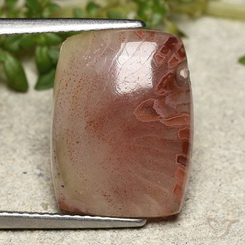 5.47 ct Cushion Coral, 15.8 x 11.9 mm From Indonesia, Photo A