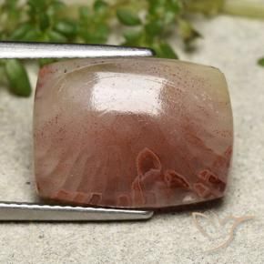 5.47 ct Multicolor Coral Stone, Natural Coral in Cushion Cabochon Shape for Sale