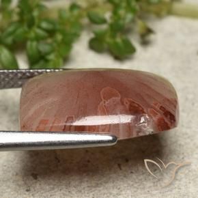 Coral Gemstone in 16 x 12 mm (calibrated) Size for Sale, Coral Stone in Multicolor Color