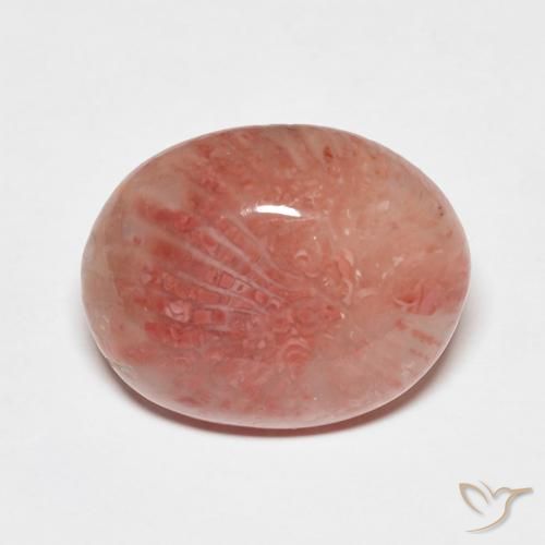 Multicolor Coral Gem - 7.4ct Oval Cabochon (ID: 492402)