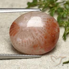 7.31 ct Multicolor Coral Stone, Natural Coral in Oval Cabochon Shape for Sale