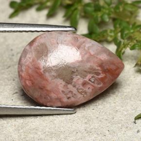 5.89 ct Multicolor Coral Stone, Natural Coral in Pear Cabochon Shape for Sale