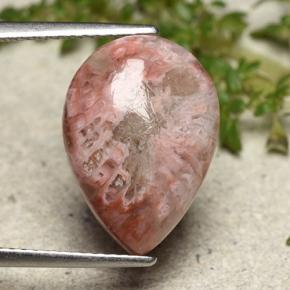 Coral Gemstone in 16.1 x 11.5 mm Size for Sale, Coral Stone in Multicolor Color