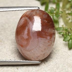 6.86 ct Multicolor Coral Gemstone, Coral Gem in Oval Cabochon Shape for Sale.