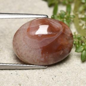 6.86 ct Multicolor Coral Stone, Natural Coral in Oval Cabochon Shape for Sale