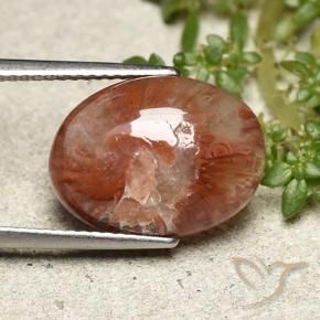 5.98 ct Multicolor Coral Stone, Natural Coral in Oval Cabochon Shape for Sale