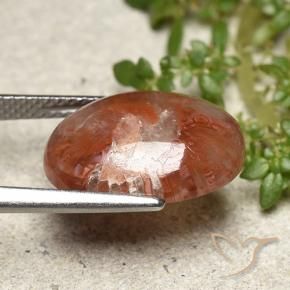 Coral Gemstone in 15.2 x 11.3 mm Size for Sale, Coral Stone in Multicolor Color