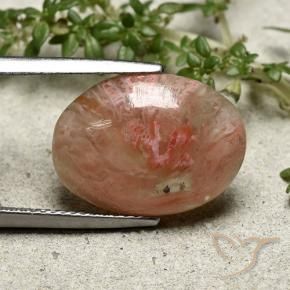 7.30 ct Multicolor Coral Stone, Natural Coral in Oval Cabochon Shape for Sale