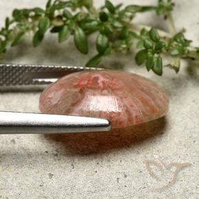 Coral Gemstone in 17.2 x 12.6 mm Size for Sale, Coral Stone in Multicolor Color