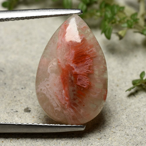 Multicolor Coral Gem - 5.6ct Pear Cabochon (ID: 492409)
