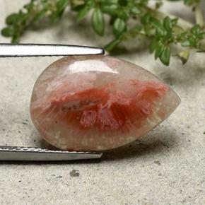 5.62 ct Multicolor Coral Stone, Natural Coral in Pear Cabochon Shape for Sale