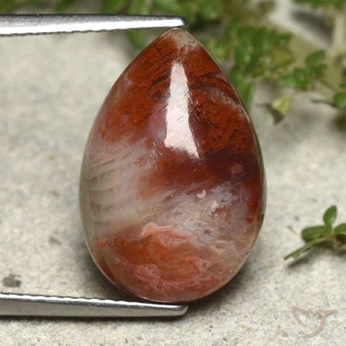 Multicolor Coral Gem - 7.3ct Pear Cabochon (ID: 492410)