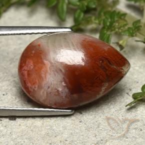 7.34 ct Multicolor Coral Stone, Natural Coral in Pear Cabochon Shape for Sale