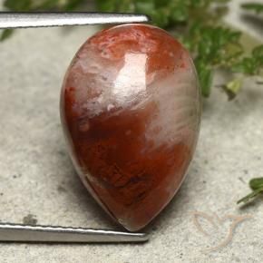 Coral Gemstone in 17.3 x 11.9 mm Size for Sale, Coral Stone in Multicolor Color