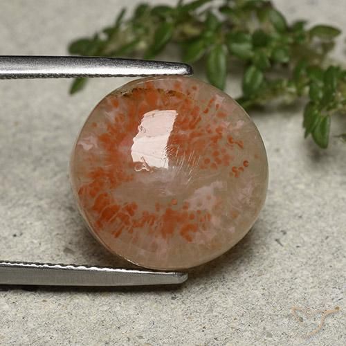 8.74 ct Round Coral, 14.3 mm From Indonesia, Photo A