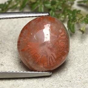 7.61 ct Multicolor Coral Gemstone, Coral Gem in Fancy Cabochon Shape for Sale.