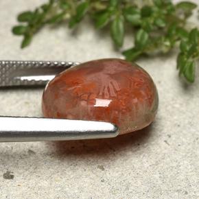 Coral Gemstone in 14.3 x 13.2 mm Size for Sale, Coral Stone in Multicolor Color