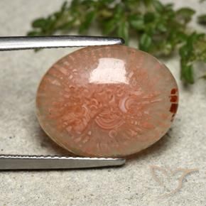8.03 ct Multicolor Coral Stone, Natural Coral in Oval Cabochon Shape for Sale