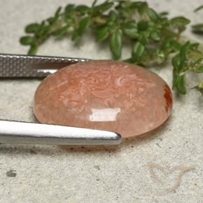 Coral Gemstone in 17.3 x 13.7 mm Size for Sale, Coral Stone in Multicolor Color